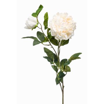 Peonia artificiale ALEDIS, crema, 100cm