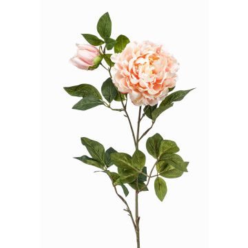 Peonia artificiale ALEDIS, salmone, 100cm, Ø7-17cm Peonia artificiale ALEDIS, salmone, 100cm, Ø7-17cm