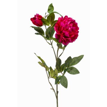 Peonia artificiale ALEDIS, rosa, 100cm Peonia artificiale ALEDIS, rosa, 100cm
