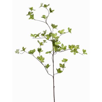 Ramo artificiale di Tropaeolum speciosum SAMAY, verde, 115cm Ramo artificiale di Tropaeolum speciosum SAMAY, verde, 115cm