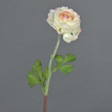 Ranuncolo artificiale ELORIO, crema-rosa, 50cm