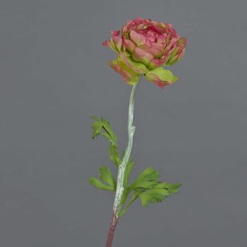 Ranuncolo artificiale ELORIO, rosa-verde, 50cm
