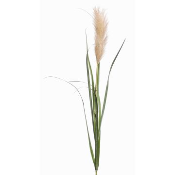 Erba della Pampa artificiale ALCANTARA con pannocchia, verde-marrone, 120cm
