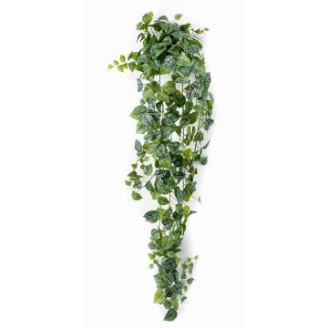 Hypoestes phyllostachya decorativa ALANGE su stelo, verde-bianco, 180cm Hypoestes phyllostachya decorativa ALANGE su stelo, verde-bianco, 180cm