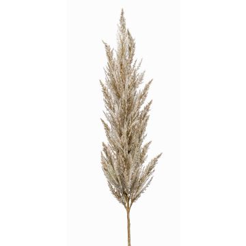 Ramo artificiale di erba della Pampa BATERNO, crema, 115cm Ramo artificiale di erba della Pampa BATERNO, crema, 115cm