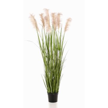 Erba della Pampa finta ALCANTARA con pannocchie, verde, 175cm