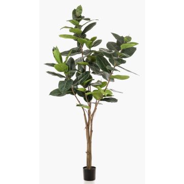 Ficus Elastica finto FERIA, tronco finto, verde, 210cm