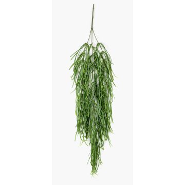 Pianta pendente di rhipsalis artificiale TALIGA su stelo, verde, 80cm Pianta pendente di rhipsalis artificiale TALIGA su stelo, verde, 80cm