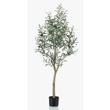 Olivo finto CLAYTON, tronco finto, con frutti, 140cm