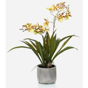 Orchidea oncidium artificiale COLUNGA in vaso di ceramica, giallo-arancione, 45cm