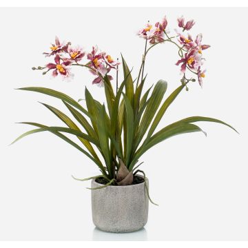 Orchidea oncidium artificiale COLUNGA in vaso di ceramica, rosa-viola, 45cm
