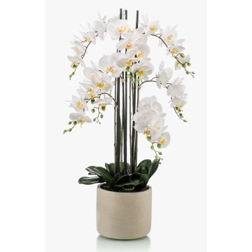 Orchidea phalaenopsis finta CECILE, vaso di ceramica, bianco, 100cm