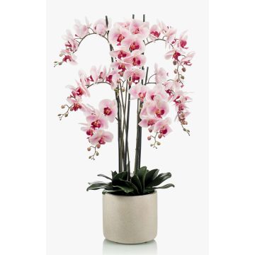 Orchidea phalaenopsis finta CECILE, vaso di ceramica, rosa-fuchsia, 100cm
