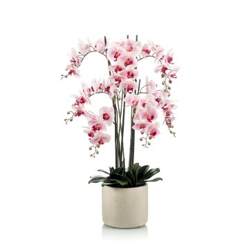 Orchidea phalaenopsis finta CECILE, vaso di ceramica, rosa-fuchsia, 100cm