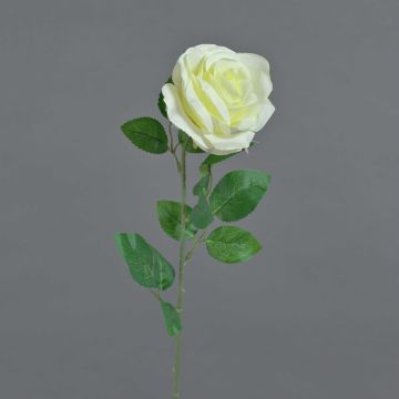 Rosa finta PEZOS, crema, 60cm