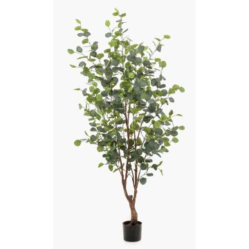 Albero finto di eucalipto ANUHEA, tronco finto, verde-grigio, 140cm