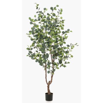 Albero finto di eucalipto ANUHEA, tronco finto, verde-grigio, 180cm