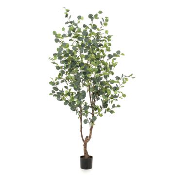 Albero finto di eucalipto ANUHEA, tronco finto, verde-grigio, 180cm