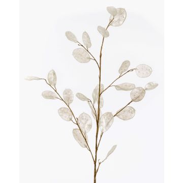 Ramo artificiale di lunaria BUELNA, crema, 105cm