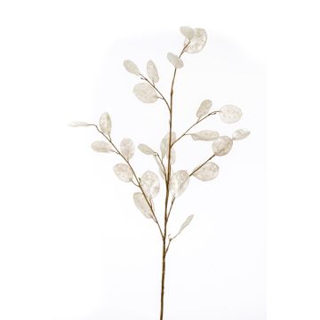 Ramo artificiale di lunaria BUELNA, crema, 105cm