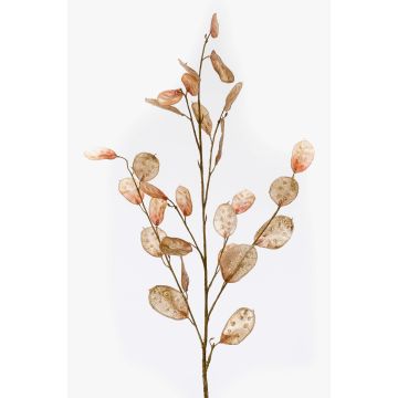 Ramo artificiale di lunaria BUELNA, marrone chiaro, 105cm Ramo artificiale di lunaria BUELNA, marrone chiaro, 105cm