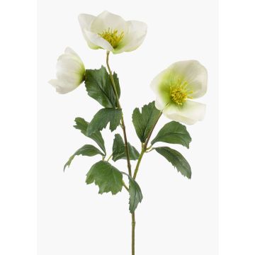 Rosa di Natale finta MERUEL, bianco-verde, 45cm Rosa di Natale finta MERUEL, bianco-verde, 45cm