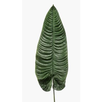 Foglia di colocasia finta ABANTO, verde, 105cm