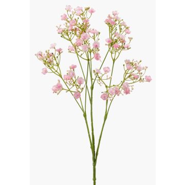 Gypsophila finta LITAGO, rosa, 70cm