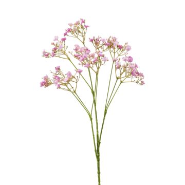 Gypsophila finta LITAGO, lilla, 70cm