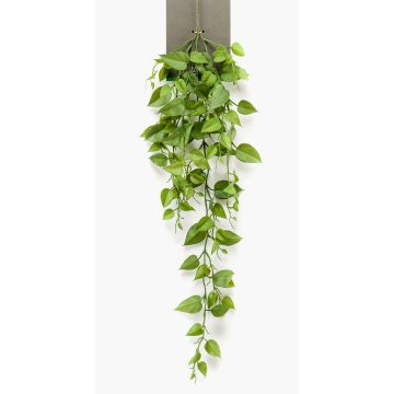 Filodendro artificiale pendente RUESCA su stelo, 90cm