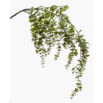 Ramo finto di eucalipto PINORO, verde, 120cm