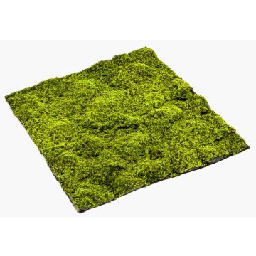 Tappeto artificiale di muschio sphagnum FERMIN, verde, 100x100cm