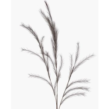 Ramo artificiale di erba stipa con pannocchie YECORA, grigio, 130cm Ramo artificiale di erba stipa con pannocchie YECORA, grigio, 130cm