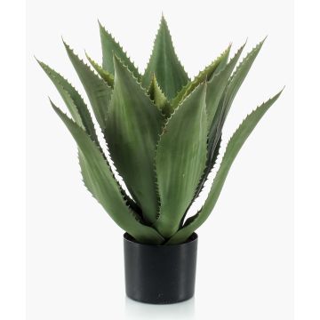 Agave finto FERNANDA, verde, 55cm