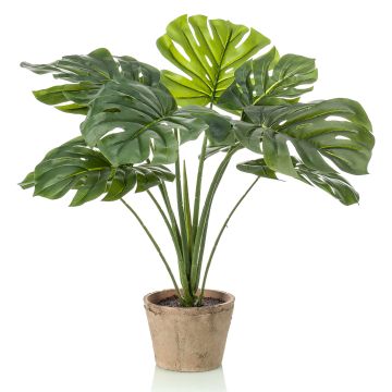 Filodendro artificiale Monstera Deliciosa BRITI, vaso in terracotta, 60cm