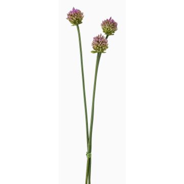 Mazzo di fiori artificiali di allium LAMDA, viola-verde, 65cm