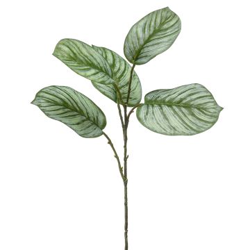Ramo artificiale di Calathea Orbifolia ALNIYAT, verde-bianco, 75cm