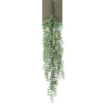 Rhipsalis artificiale TUREIS, stelo, verde-grigio, 70cm Rhipsalis artificiale TUREIS, stelo, verde-grigio, 70cm
