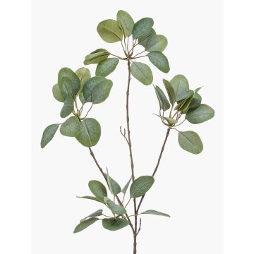 Eucalipto artificiale KRISZTOFER, verde, 90cm