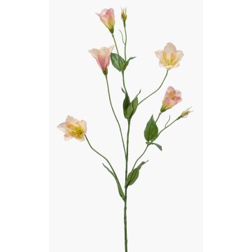 Lisianthus artificiale PAZAN, rosa-crema, 70cm