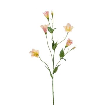 Lisianthus artificiale PAZAN, rosa-crema, 70cm