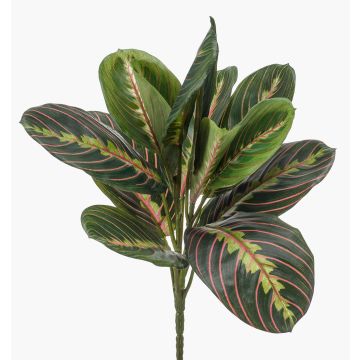 Maranta artificiale SITULA su stelo, verde-rosso, 30cm Maranta artificiale SITULA su stelo, verde-rosso, 30cm