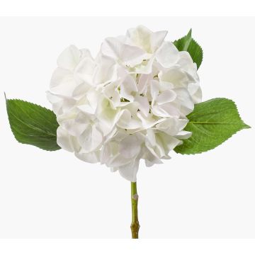 Ortensia artificiale AMARILDO, bianco, 45cm