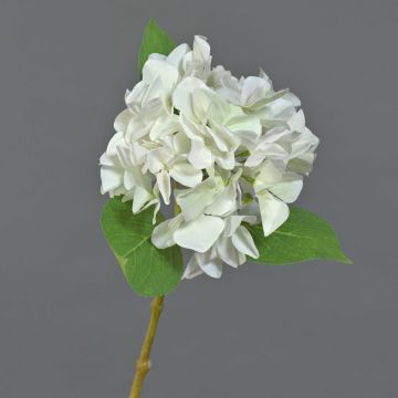 Ortensia artificiale AMARILDO, bianco, 45cm