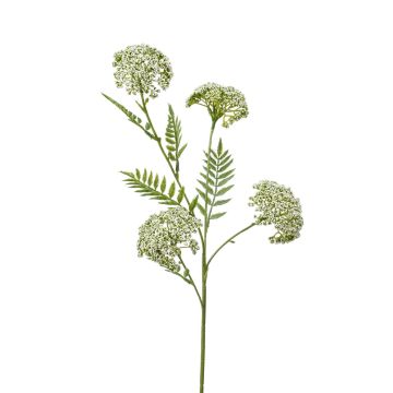 Achillea artificiale THUBAN, crema, 60cm