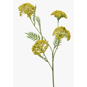 Achillea artificiale THUBAN, gialla, 60cm