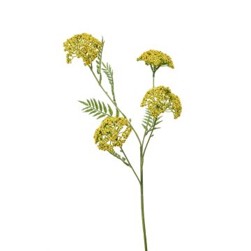 Achillea artificiale THUBAN, gialla, 60cm