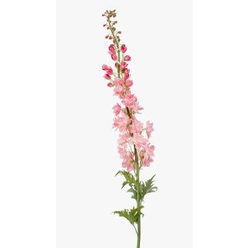 Delphinium artificiale SZILVIA, rosa, 130cm