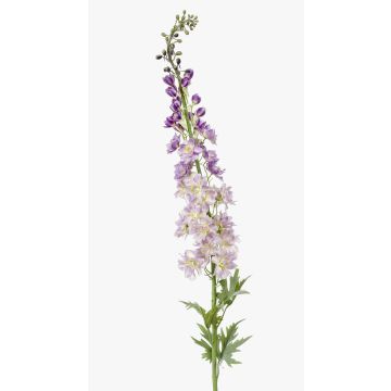Delphinium artificiale SZILVIA, viola chiaro, 130cm