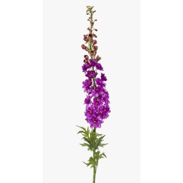 Delphinium artificiale SZILVIA, viola, 130cm